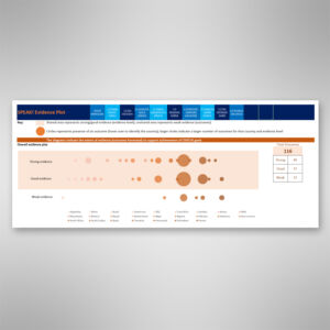 CIVICUS SPEAK! OUTCOMES STORY DATA VIZUALISATION